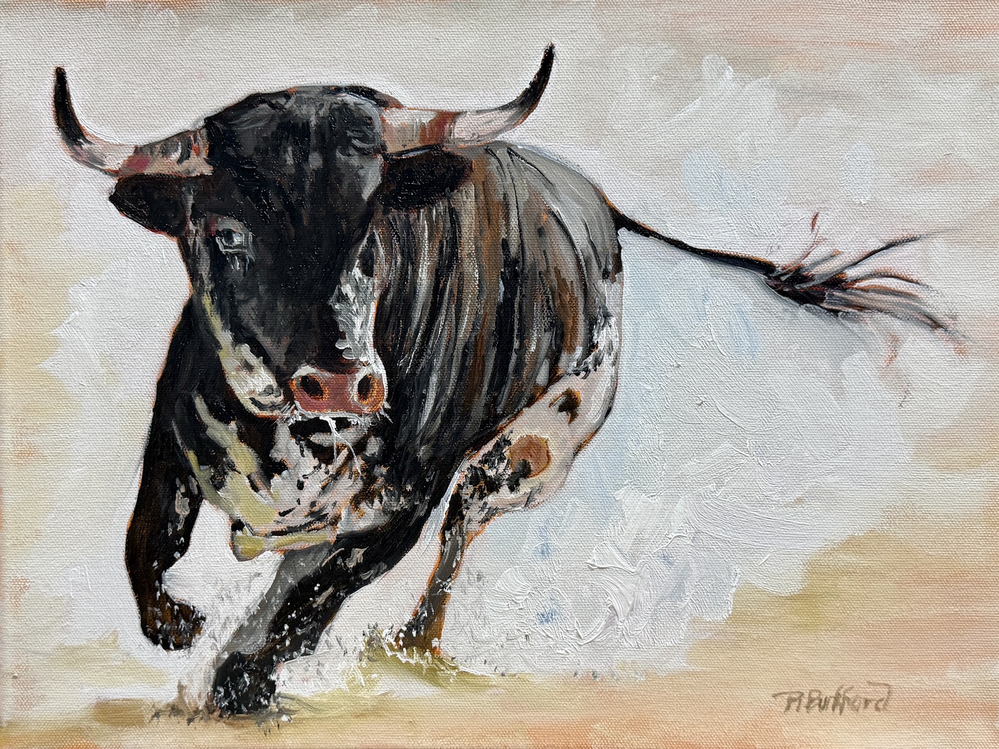 Raging bull alla prima studio oil painting